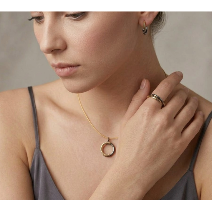 Anillo Fracciones