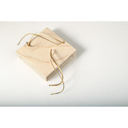 Cintes
